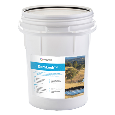 DamLock_bucket_1