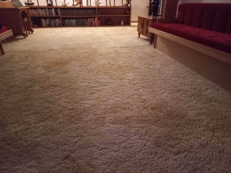 Dog urine in carpet 3